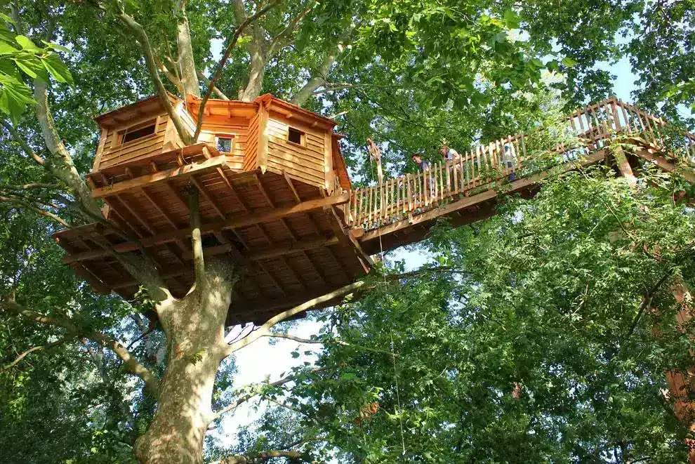 Cabane dans les arbres du Gard
